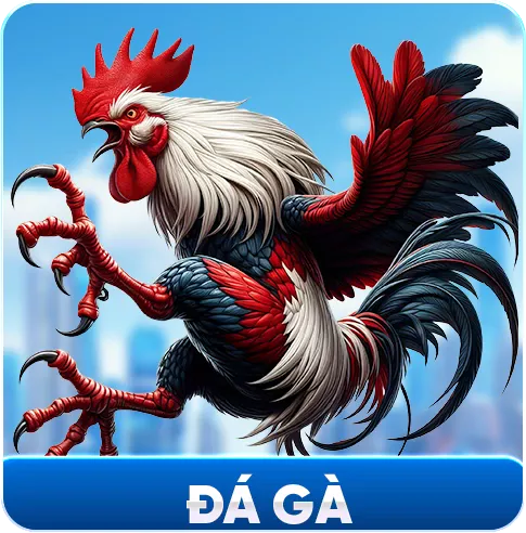 Đá gà