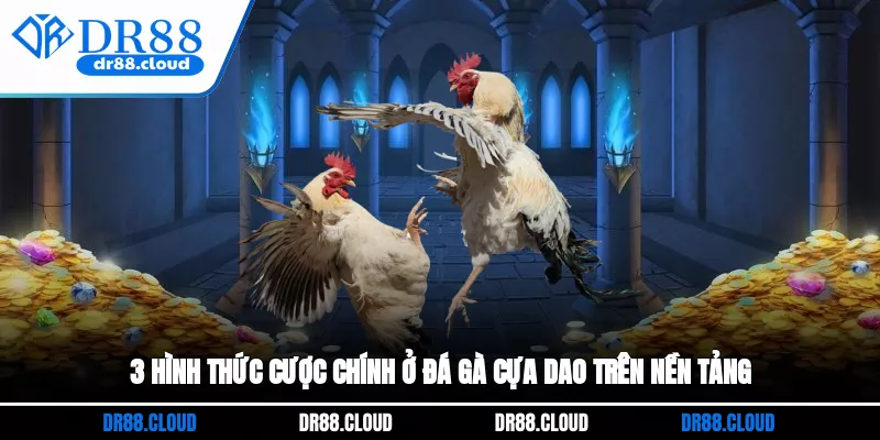3 hình thức cược chính ở đá gà cựa dao trên nền tảng