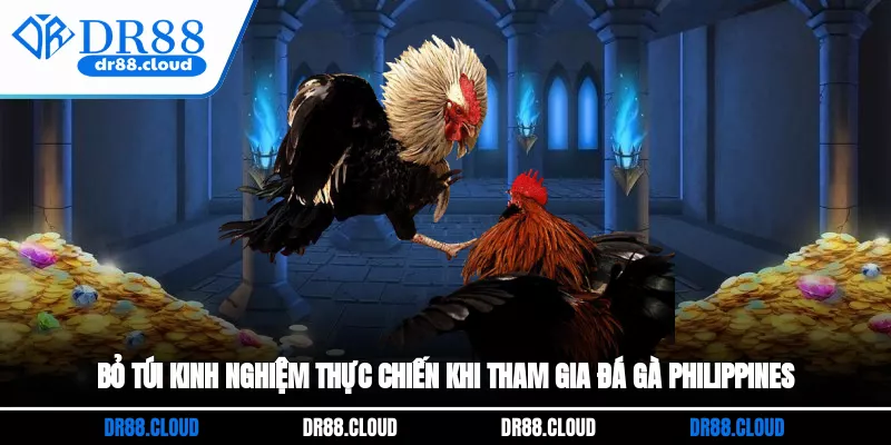 Bỏ túi kinh nghiệm thực chiến khi tham gia đá gà Philippines