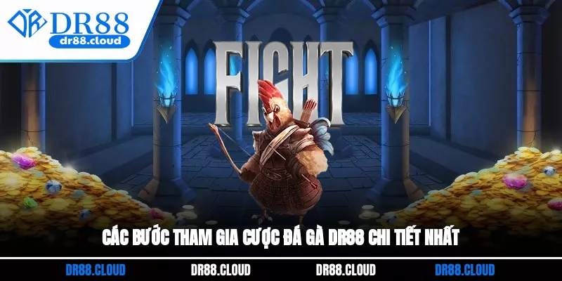 Các bước tham gia cược Đá gà DR88 chi tiết nhất