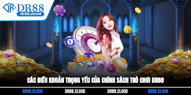 Các điều khoản trọng yếu của chính sách trò chơi DR88