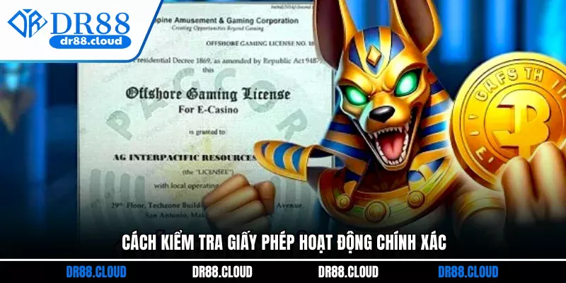 Cách kiểm tra giấy phép hoạt động chính xác