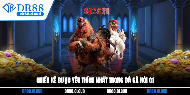 Chiến kê được yêu thích nhất trong đá gà nòi C1