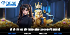 Đá gà cựa dao - Đấu Trường Đỉnh Cao Cho Người Đam Mê