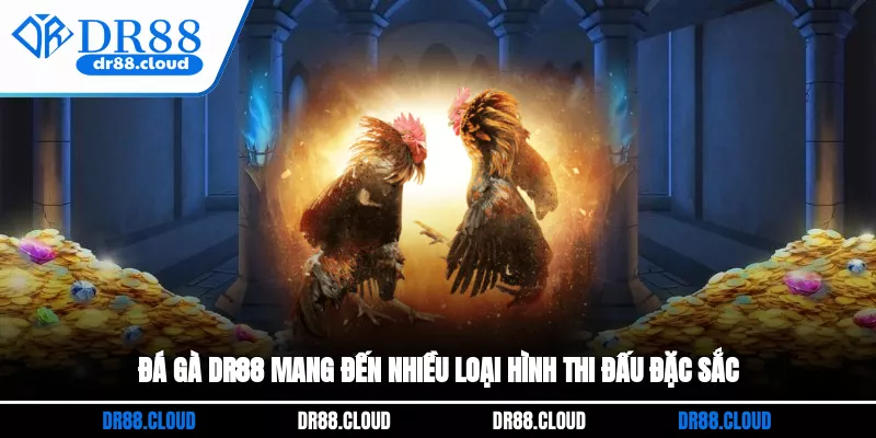 Đá gà DR88 mang đến nhiều loại hình thi đấu đặc sắc