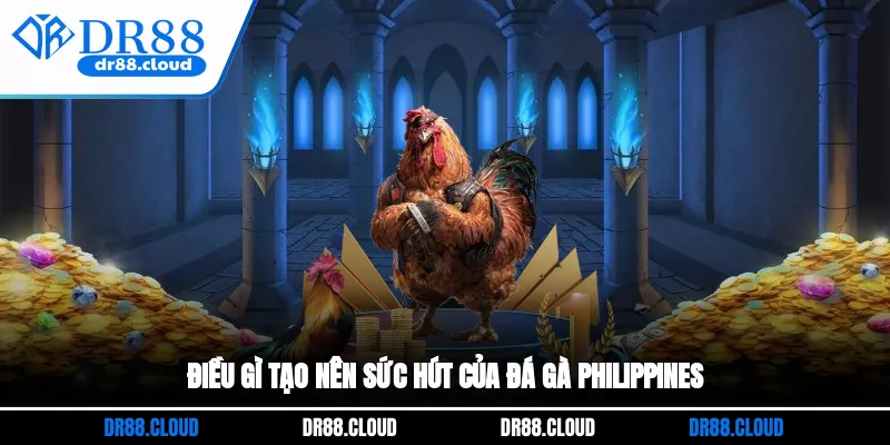 Điều gì tạo nên sức hút của đá gà Philippines?