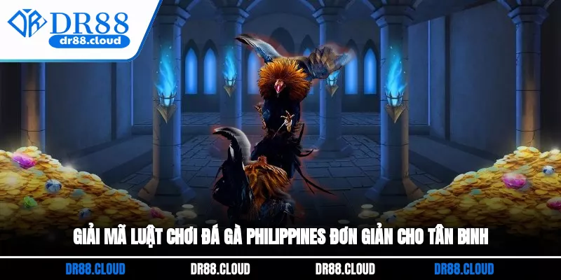 Giải mã luật chơi đá gà Philippines đơn giản cho tân binh