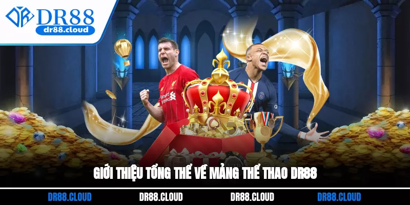 Giới thiệu tổng thể về mảng thể thao DR88