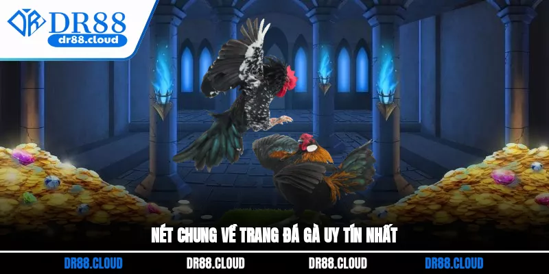 Nét chung về trang đá gà uy tín nhất