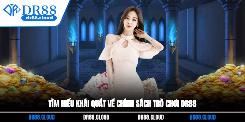 Tìm hiểu khái quát về chính sách trò chơi DR88