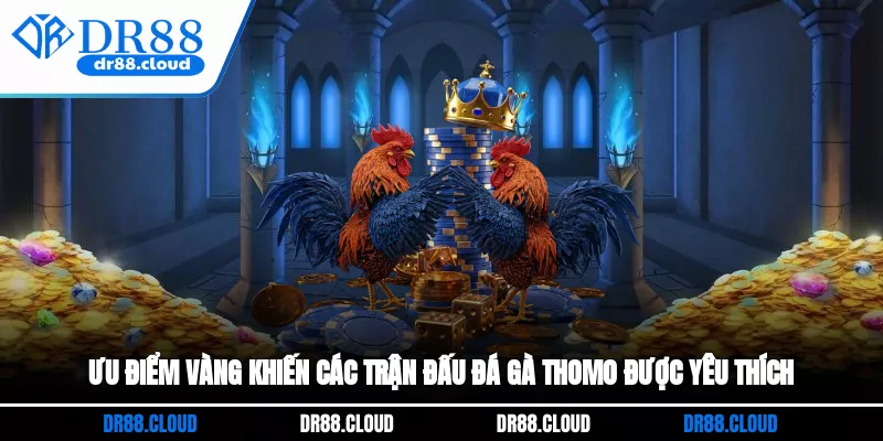 Ưu điểm vàng khiến các trận đấu đá gà Thomo được yêu thích